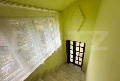 Casă cu 4 camere cu Teren 12186 Mp în Boiu - 5