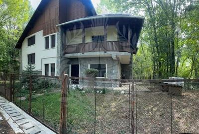 CASA DE VACANTA//CORNU DE JOS - 4