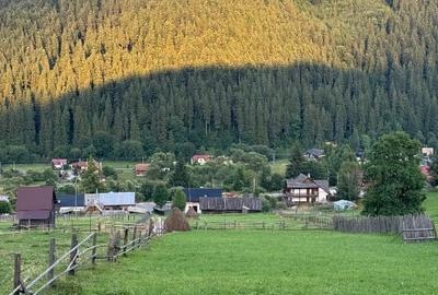 Teren de Vânzare în Bucovina ! OPORTUNITATE - 1