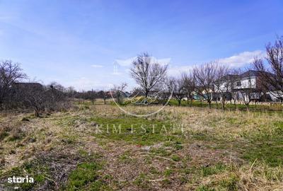 Spațiu comercial, în Lumina - 4