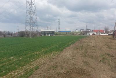 Spațiu comercial, în Ișalnița - 3