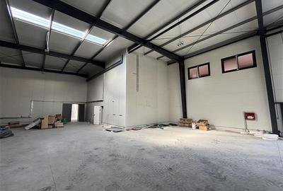 Spațiu industrial, de 600 mp, în Theodor Pallady - 13