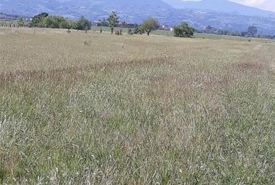 Teren de 8600 mp, în Central - 2