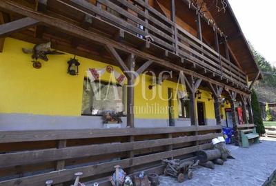 Casa 9 camere de vanzare in Sat Cerc, Valea Ierii - 10