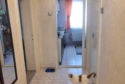 Apartament 3 camere - bloc fara risc - Podu Ros - 7