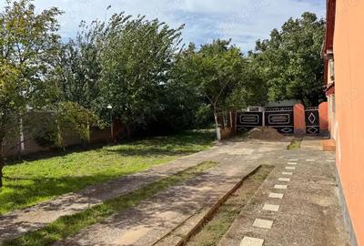 Casa de vanzare in Banloc - 4