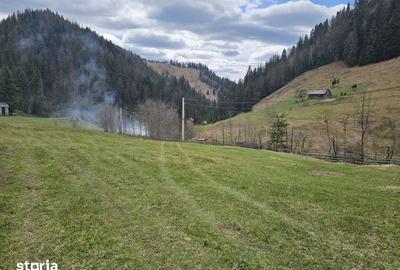 Teren de 53159 mp, în Fundu Moldovei - 6