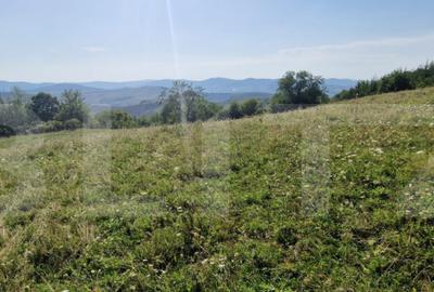 Teren de vanzare, 1Ha in apropiere de cartierul RAAL - 2