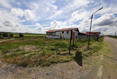 Teren Construcții intravilan de 2000 mp, în Murighiol - 6