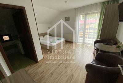 Pensiune de vanzare in Paltinis- Locatie deosebita- Afacere la cheie - 39