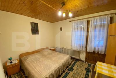 Vila cu potential de transformare in pensiune, 13 camere, Ti - 7