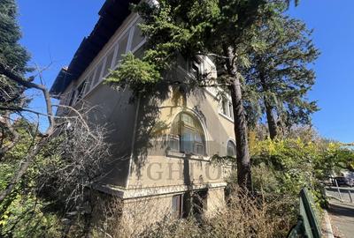 VILA IDEAL INVESTITIE REZIDENTIALA SAU COMERCIALA VILA IDEAL INVESTITIE REZIDENTIALA SAU COMERCIALA - 7