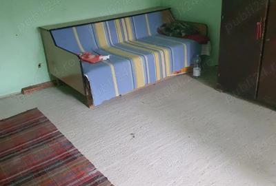 Casă cu 2 camere în Luncași - 9