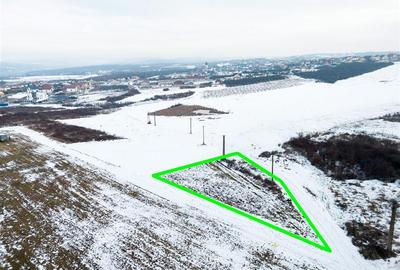 Teren intravilan de 553 mp, în Paleu - 6