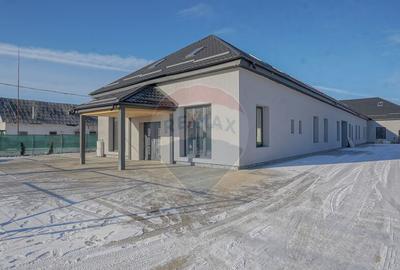 Hala moderna si incalzita | curte betonata | 2 niveluri |... - 12