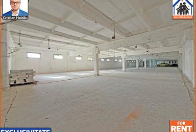 Hale de inchiriat in 1 Decembrie Ilfov | NILS Imobiliare - 4
