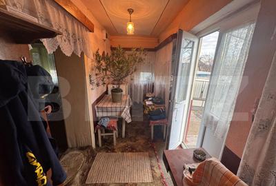 Casa, Comuna Apa ,Sat Someseni, 50mp, 17 ari teren - 6