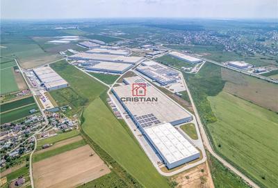 Spațiu comercial, de 25,000 mp, în Bolintin-Deal - 9