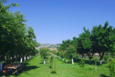 Casa de vanzare in Calan - 7