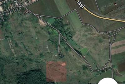 Teren de 12800 mp, în Valea Ursului - 3