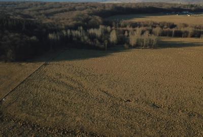 Teren de 12000 mp, în Vlădeni - 2