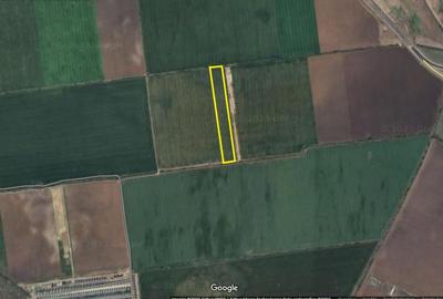 Teren 11.800 mp Tunari TARLAUA 24N - 2