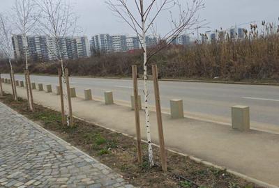 Teren de 12288 mp, în Militari - 9