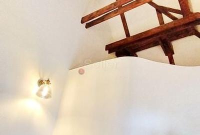 Casa cu gradina centru istoric Casa cu gradina centru istoric - 10