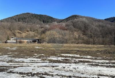 Teren Construcții intravilan de 1340 mp, în Cuejdiu - 1