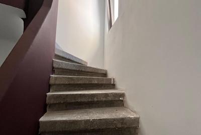 Casa Individuala - Gradina Icoanei - 11