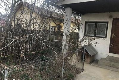 Casă cu 3 camere cu Teren 1768 Mp în Drajna - 1