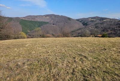 Spațiu comercial, în Damiș - 6