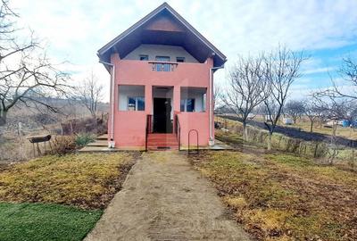 Casa individuala 90mp,teren 1000mp,situata in Dezmir