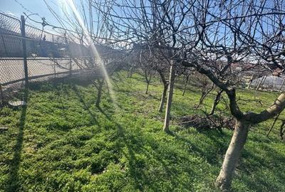 Teren Construcții intravilan de 462 mp, în Bărăbanț - 2