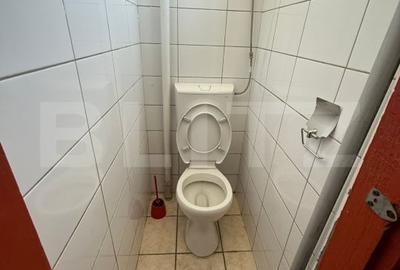 Hala 350 mp+ 750 mp teren betonat, Someseni, Cluj-Napoca - 9