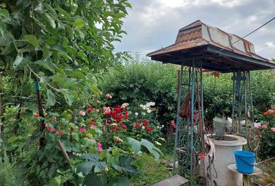 Casă cu 4 camere în Osica de Jos - 7