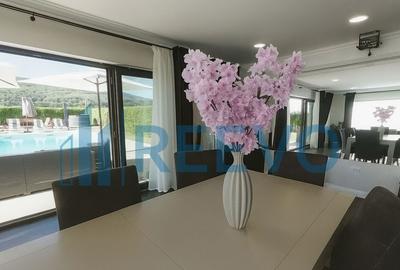 Proprietate pentru investi?ie cu Piscina in Hemeiu? - 10