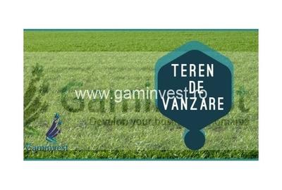 Teren agricol extravilan de 10000 mp, în Biharia - 2