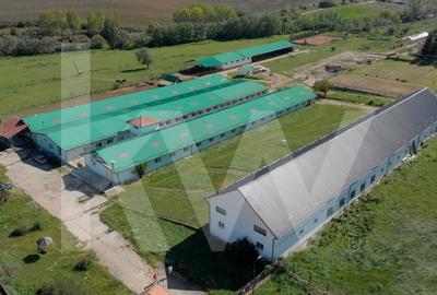 Proprietate industriala cu hale moderne, teren generos si acces Autostrada A1 - 7