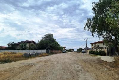 Vanzazre Teren 760mp Pantelimon Cernica - 3