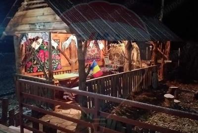 Casa / Vila cu 6 camere de vanzare - 5