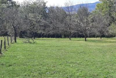 Teren de 8540 mp, în Breaza - 5