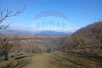 Teren Construcții intravilan de 3206 mp, în Remecioara - 1