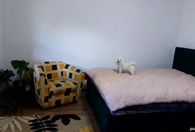 Casă cu 3 camere în Central