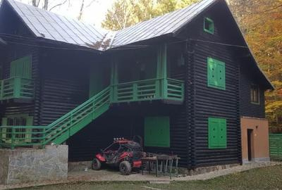 Casă cu 4 camere în Valea Doftanei - 7