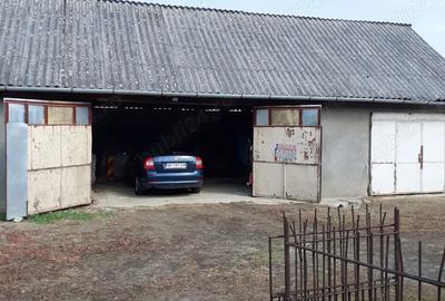 Vand casa in Almas, judetul Arad - 6