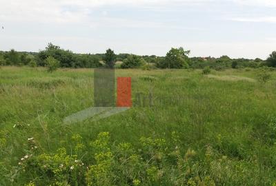 Buftea, teren cu iesire la lac - 15