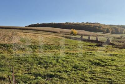 Proprietate de vanzare in Bardesti cu 1900 mp teren - 12