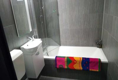 Piata Kogalniceanu, apartament 2 camere, mobilat si utilat - 8