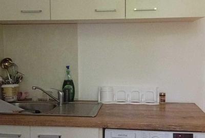 Apartament cu 2 camere decomandat în Bucureștii Noi - 8